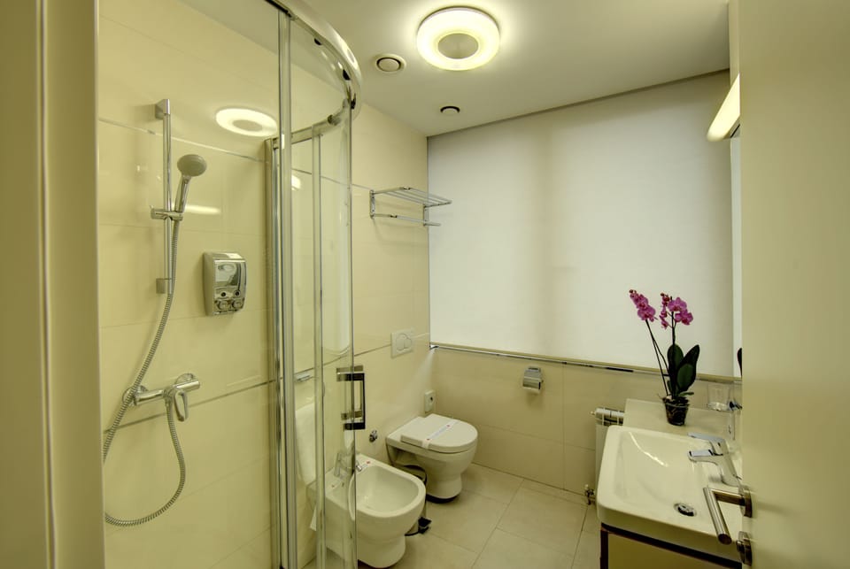 Shower, free toiletries, hair dryer, slippers