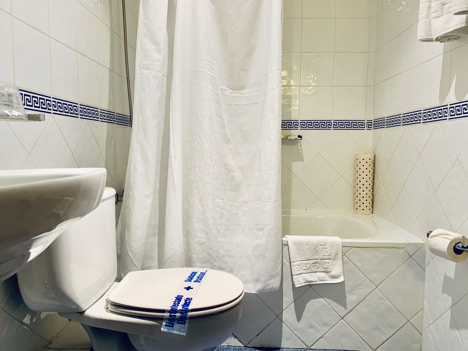 Combined shower/tub, free toiletries, hair dryer, towels