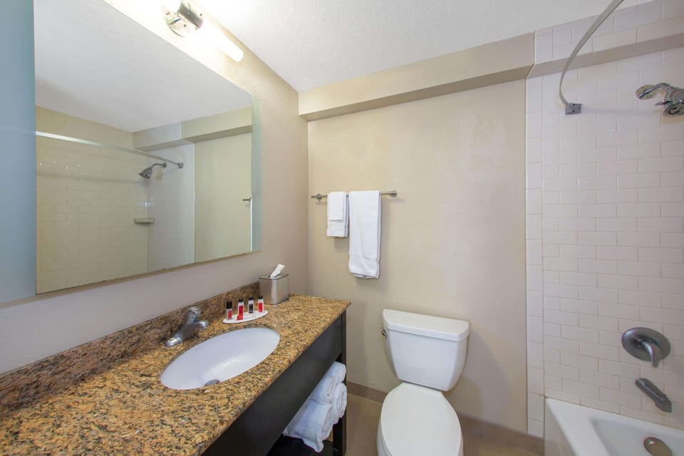 Combined shower/tub, free toiletries, hair dryer, towels