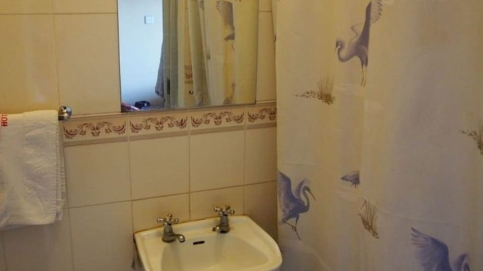 Bathroom sink