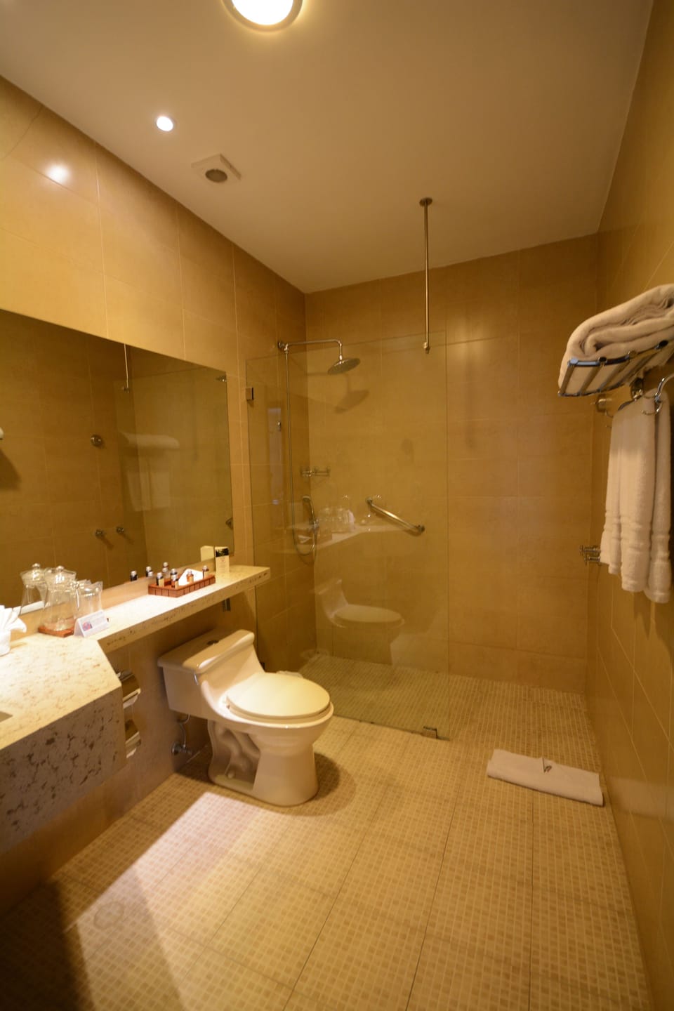 Shower, rainfall showerhead, hair dryer, bathrobes