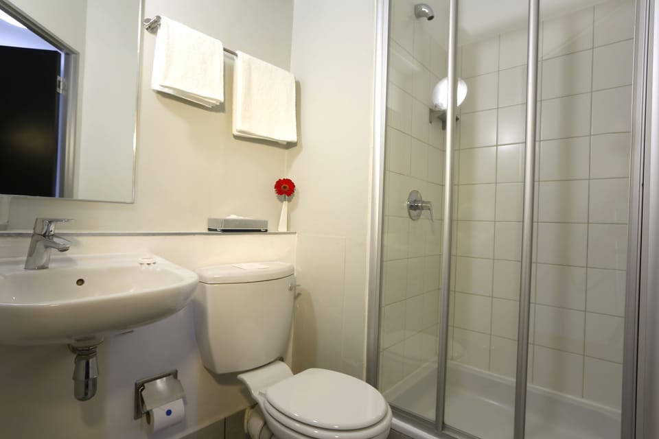 Standard Double Room | Bathroom | Shower, free toiletries, towels