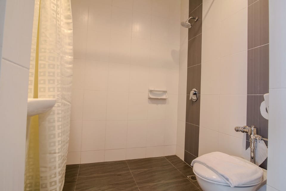 Shower, free toiletries, hair dryer, towels