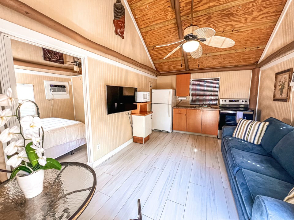 Tiki Suite Handicap Accessible | Living area | TV