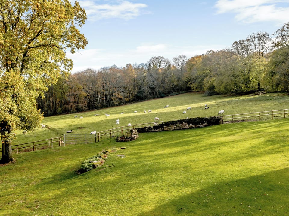 View | Priors Lodge Barns - Horseshoe - Priors Lodge Barns , Bream, near Lydney