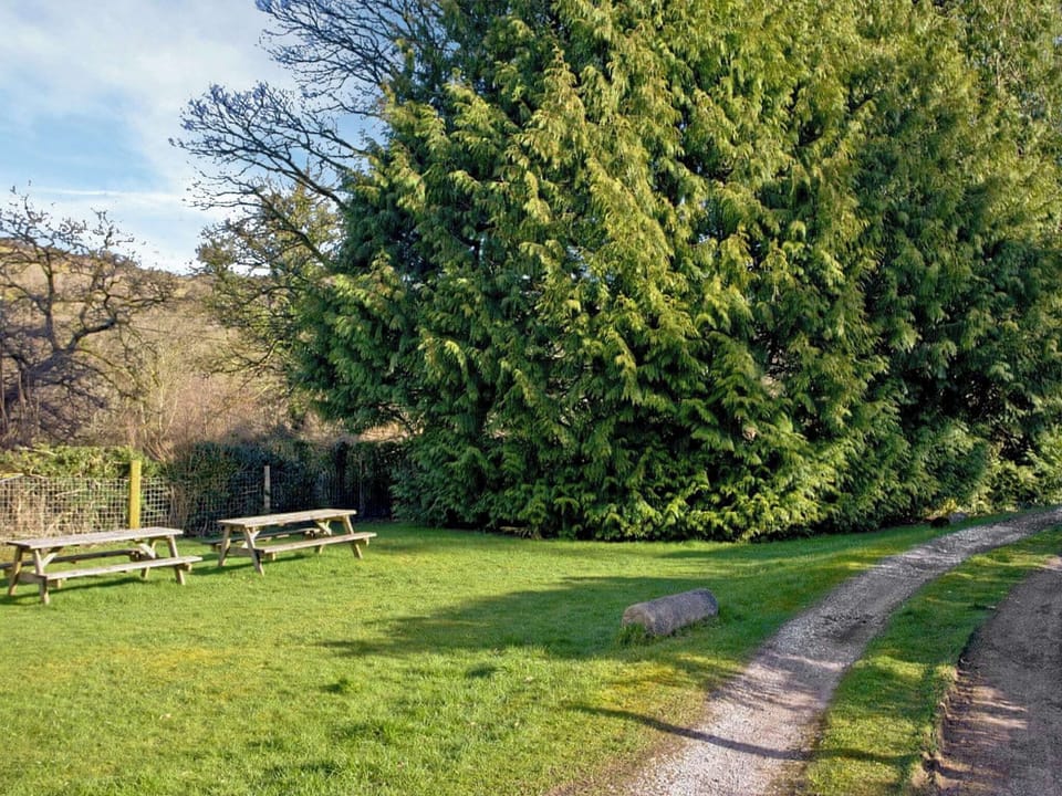 Garden and grounds | Wooder Manor, Widecombe-in-the-Moor, near Bovey Tracey