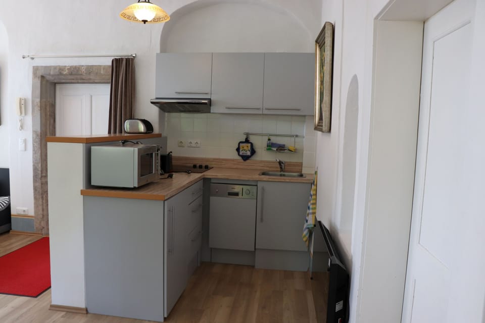 Apartment, Private Bathroom, Garden View (Fewo Pfarrhaus Maxen) | Shared kitchen | Highchair