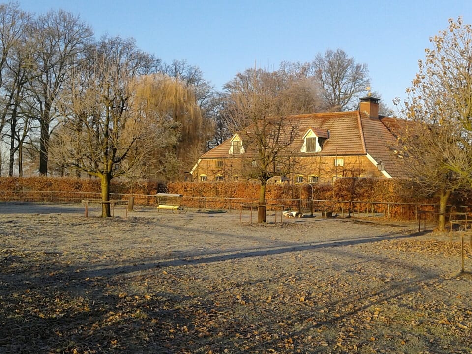 House | View from property