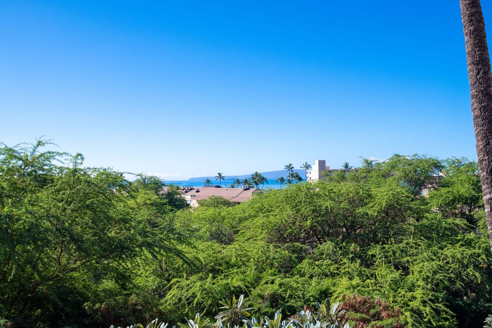 Tropical, ocean, and island views.