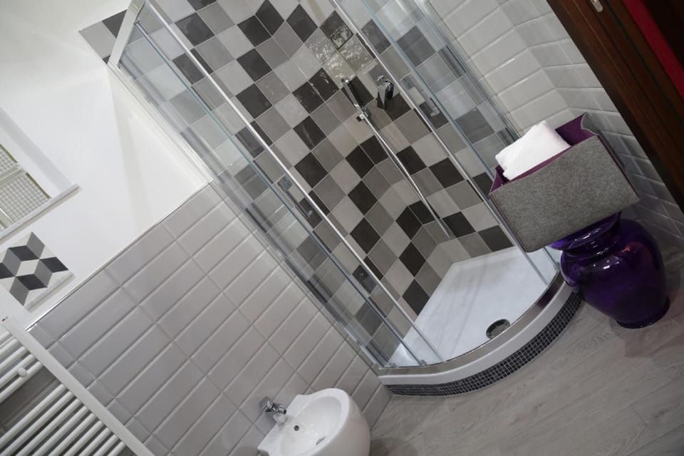 Shower, hydromassage showerhead, free toiletries, hair dryer