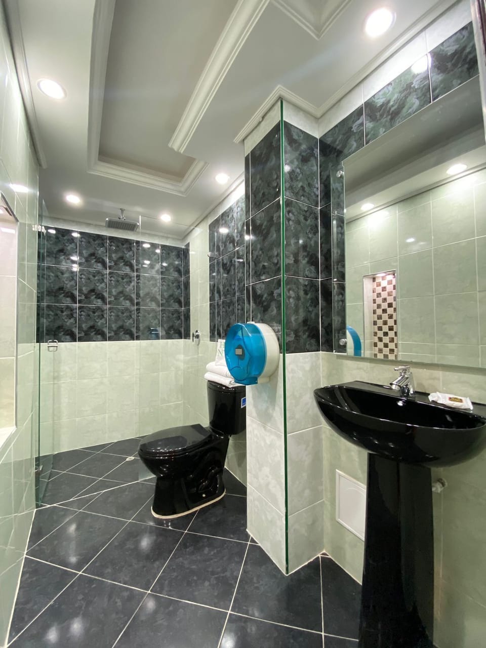 Shower, towels