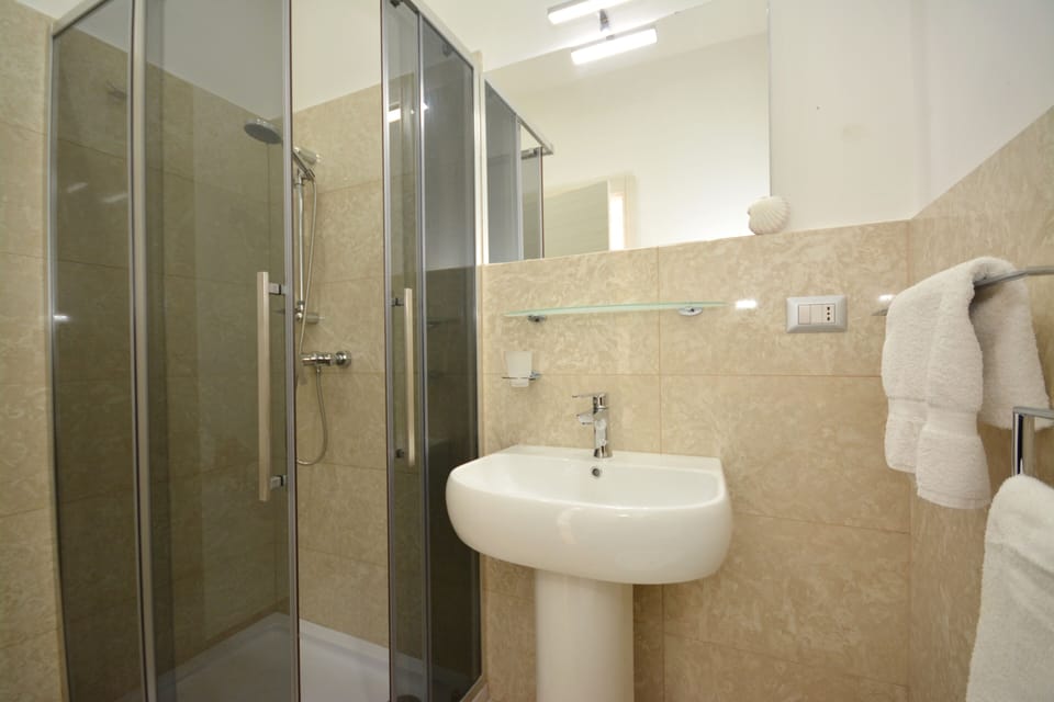 Basic Room | Bathroom | Shower, towels