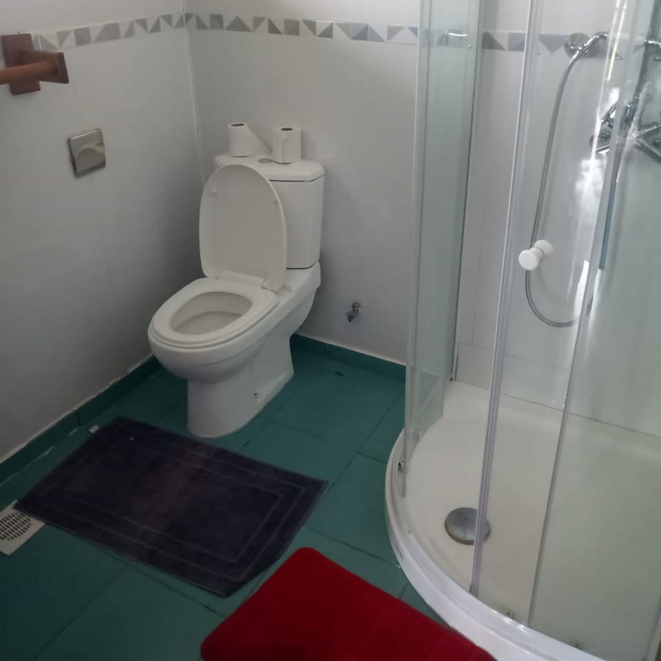 Shower, rainfall showerhead, towels, soap