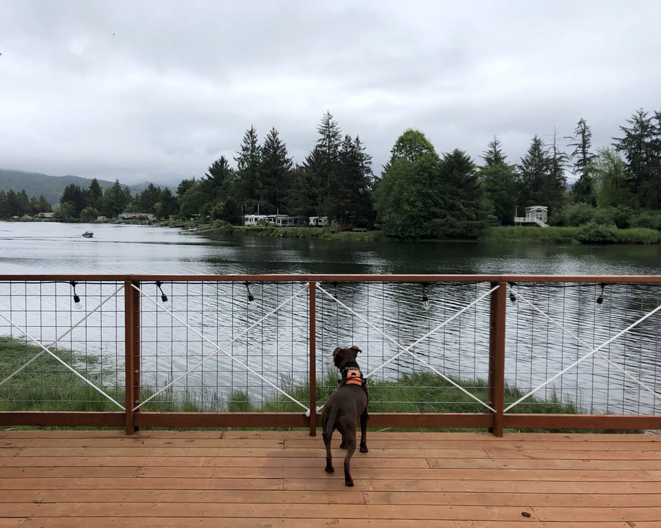 Dog friendly with a locking gate on the deck.  Penny is looking at south fork