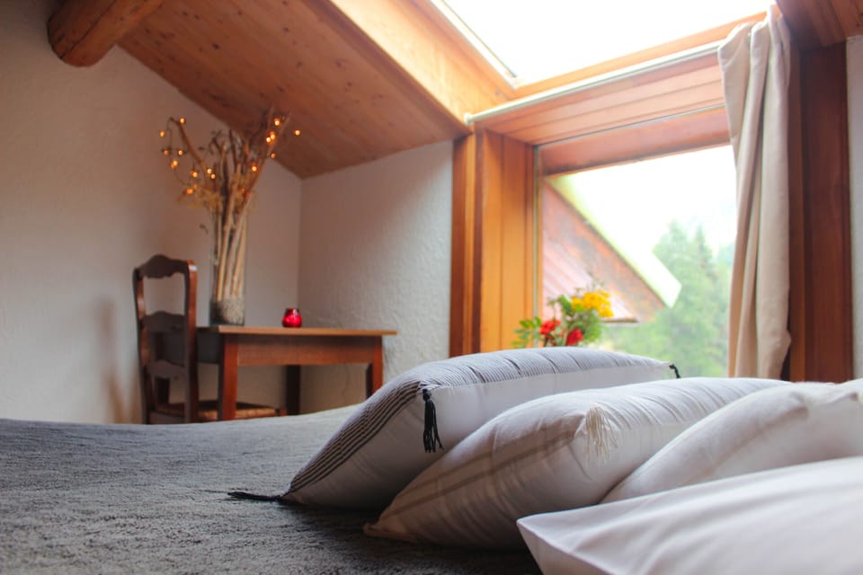 Comfort Quadruple Room