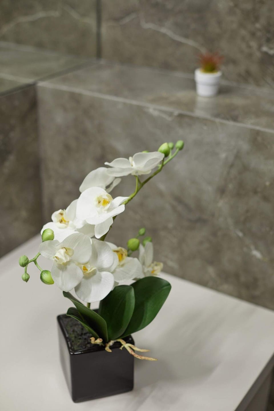 Comfort Apartment | Bathroom | Combined shower/tub, rainfall showerhead, free toiletries, hair dryer