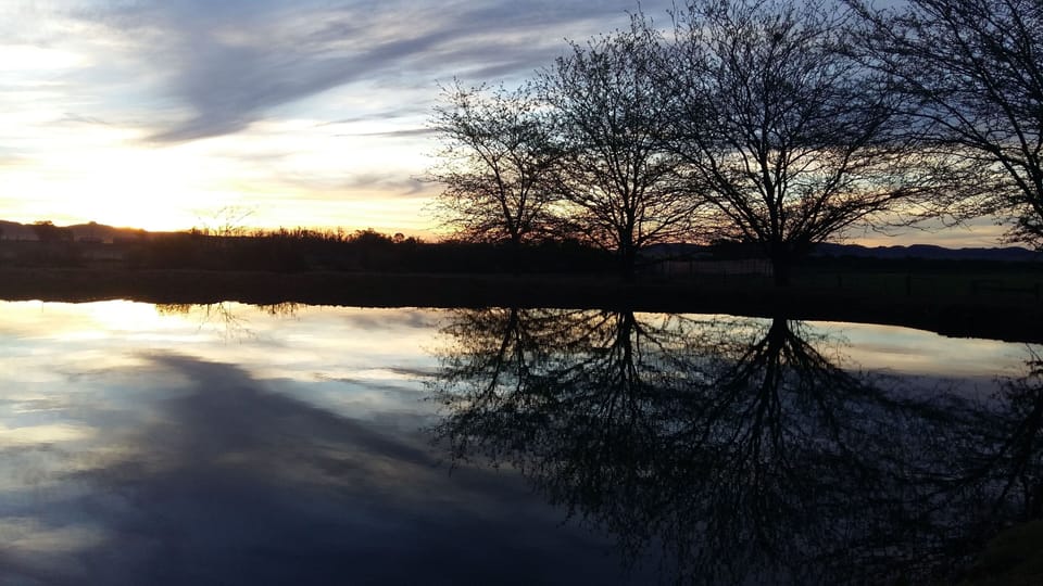 Lake view