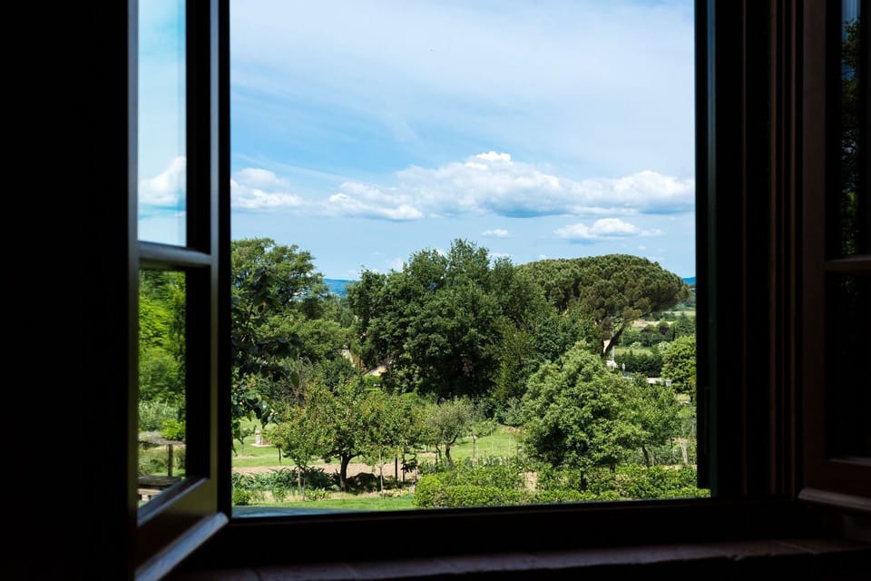 Vegetation, Sky, Window, Blue, Tree, Natural Environment, Botany, House, Leaf, Room