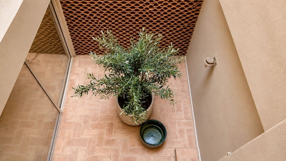 Basic Double Room | Terrace/patio