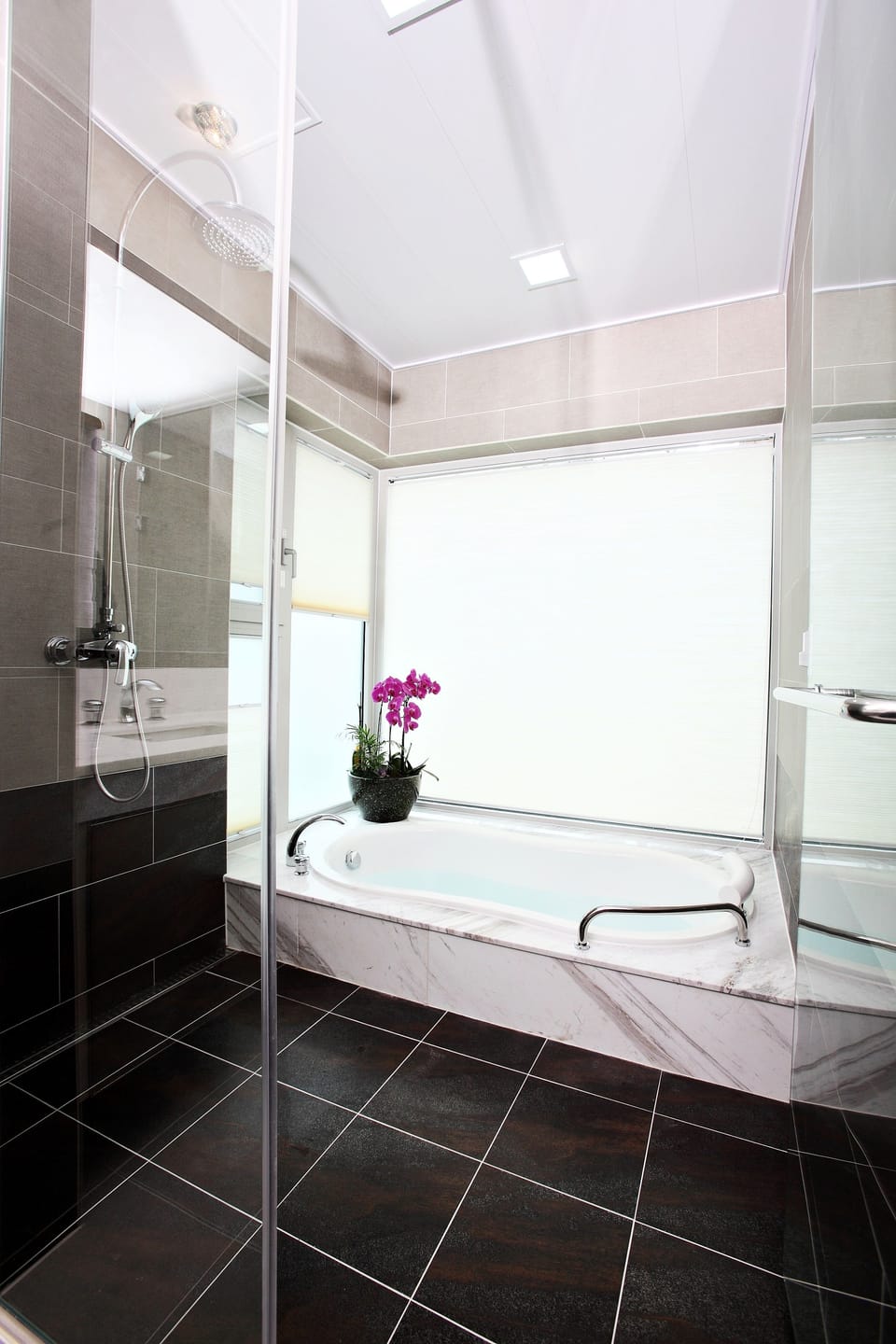 Shower, free toiletries, hair dryer, slippers
