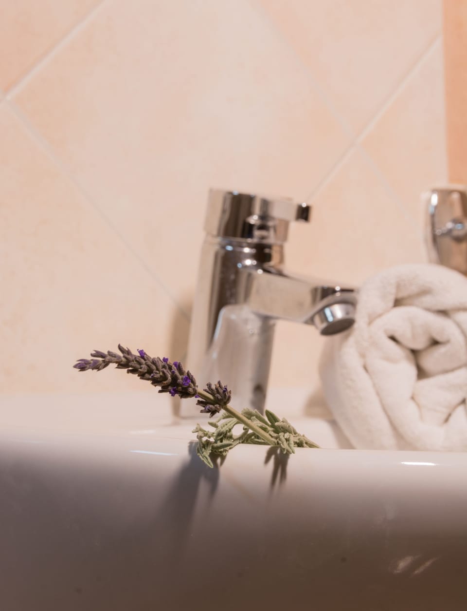 Standard Room | Bathroom sink