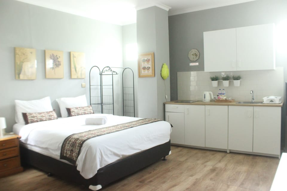Luxury Studio | Desk, free WiFi