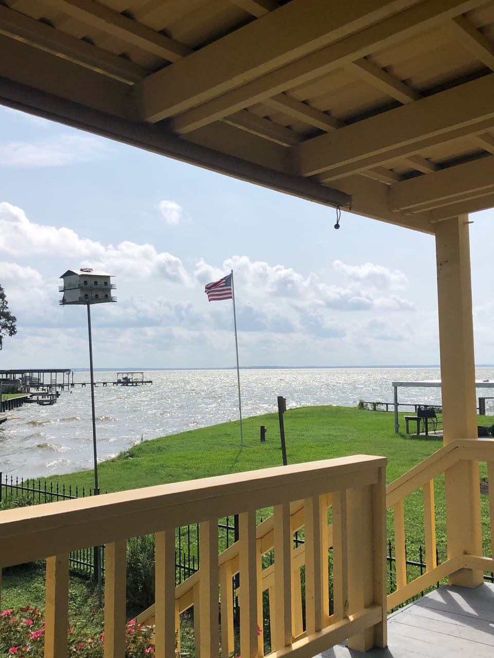View from the back porch!