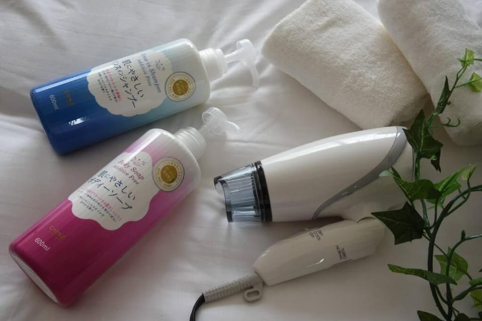 Combined shower/tub, free toiletries, hair dryer, towels