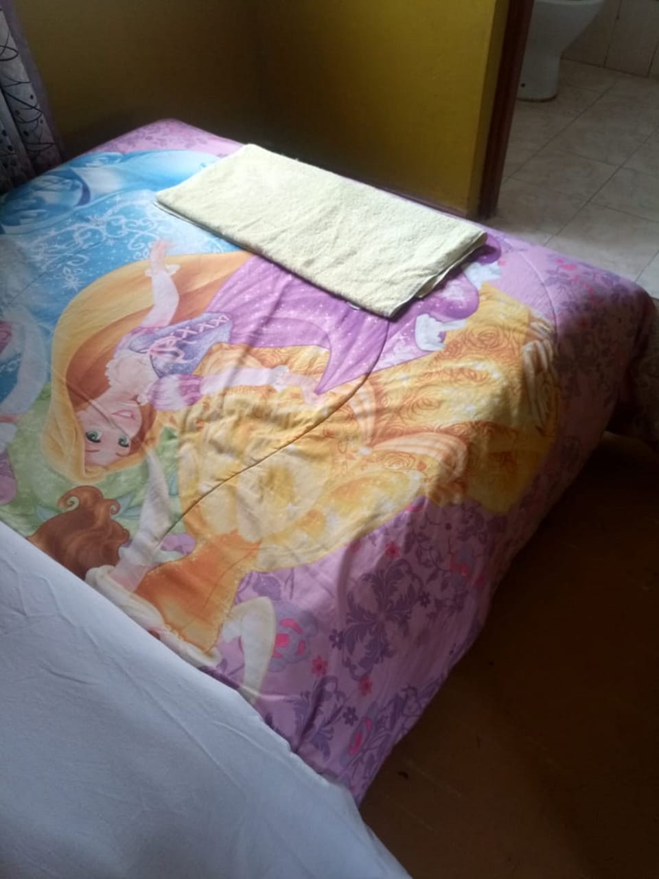 Single Room | Desk, WiFi (free), bed sheets