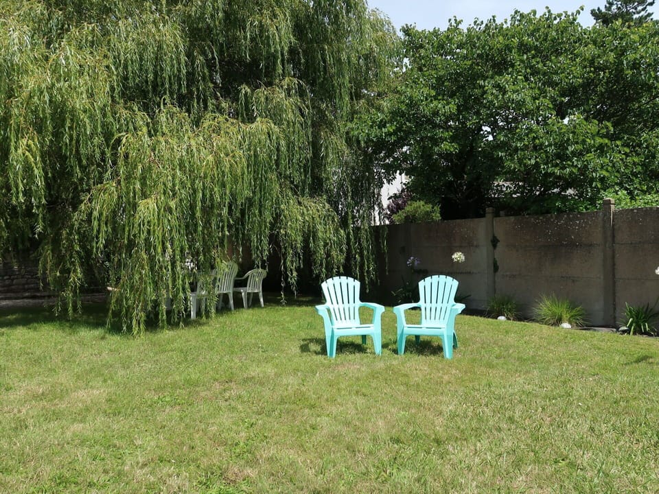 Plant, Plant Community, Natural Landscape, Tree, Land Lot, Grass, Woody Plant, Sky, Chair, Landscape
