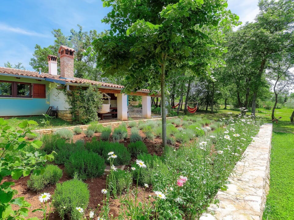 Property, Garden, Yard, Natural Landscape, House, Land Lot, Grass, Real Estate, Botany, Plant