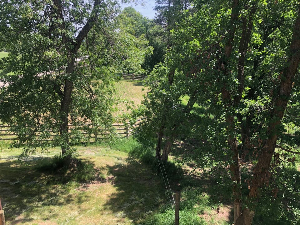 Looking into round riding arena