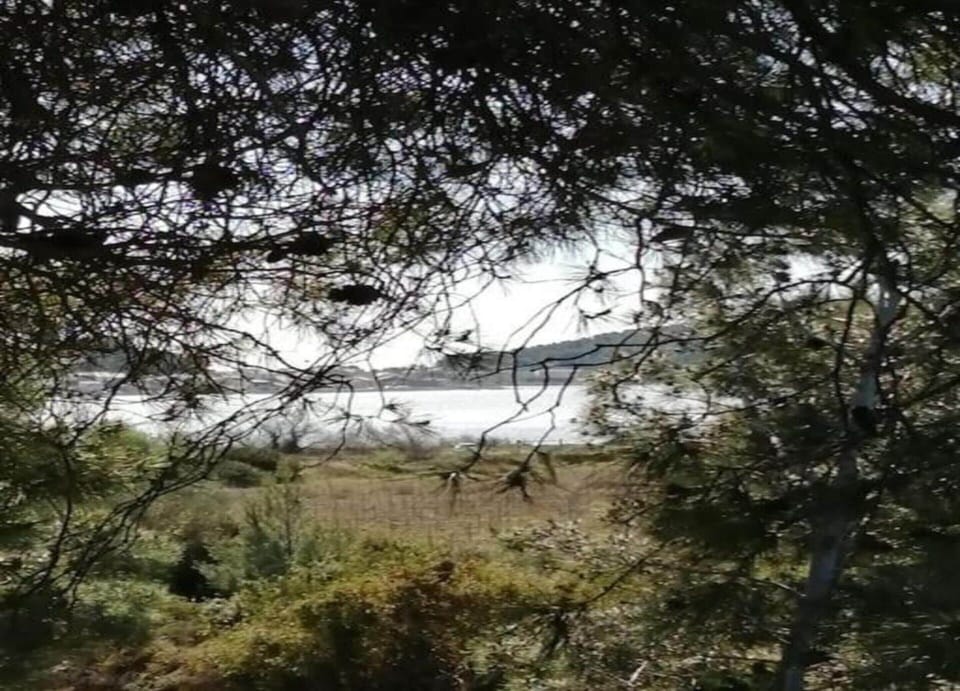 House | View from property
