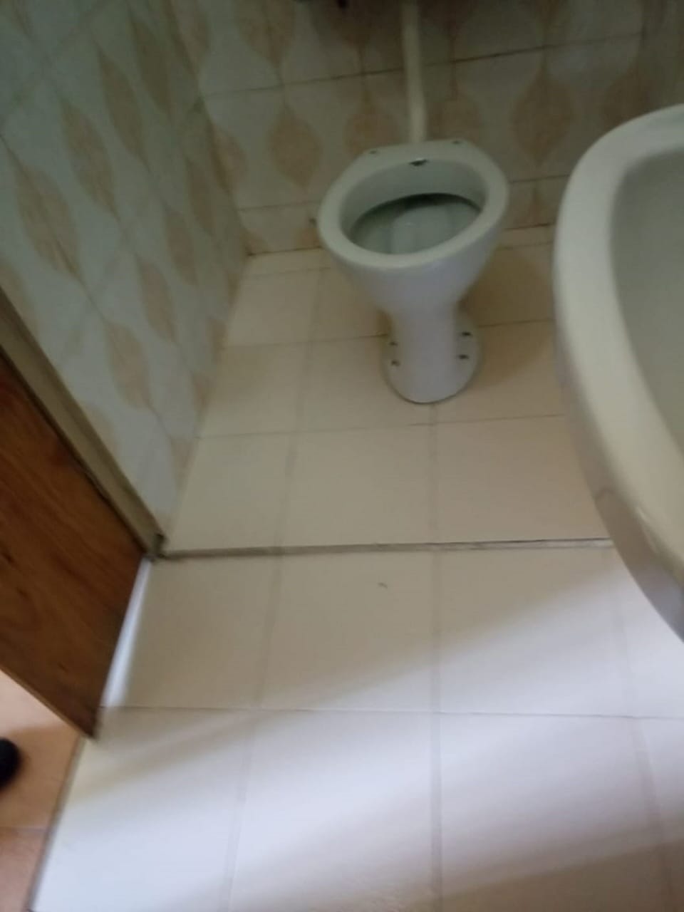 Single Room | Bathroom | Shower, rainfall showerhead, free toiletries, slippers