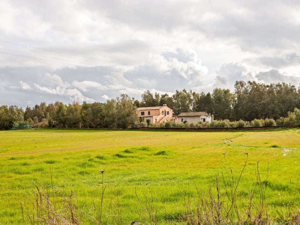 House | View from property