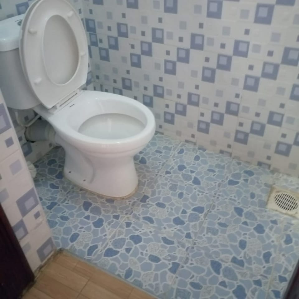 Shower, towels, soap, toilet paper