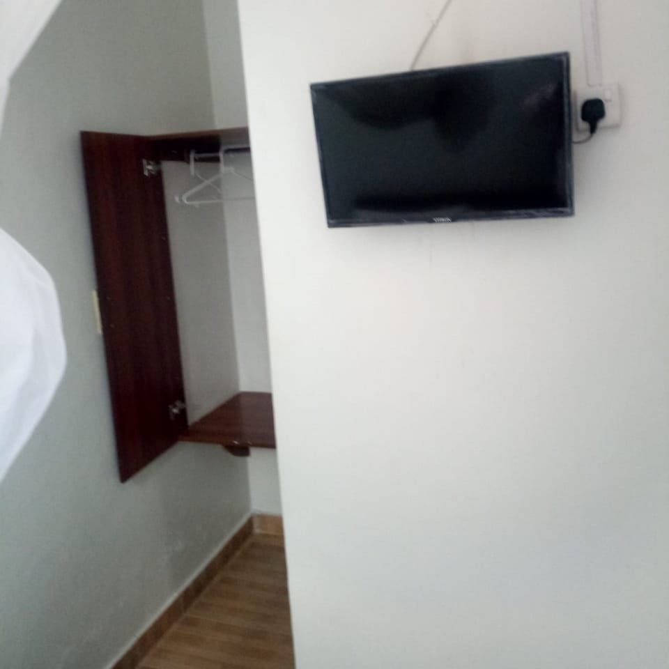 Television