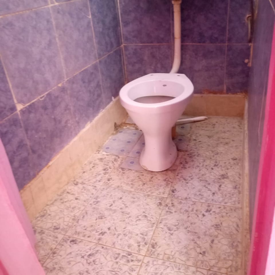 Single Room | Bathroom | Shower, free toiletries, towels, soap