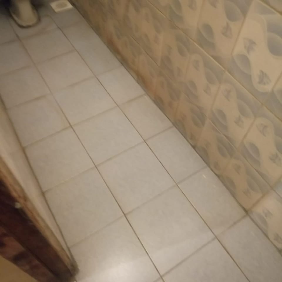 Single Room | Bathroom | Shower, free toiletries, towels, soap