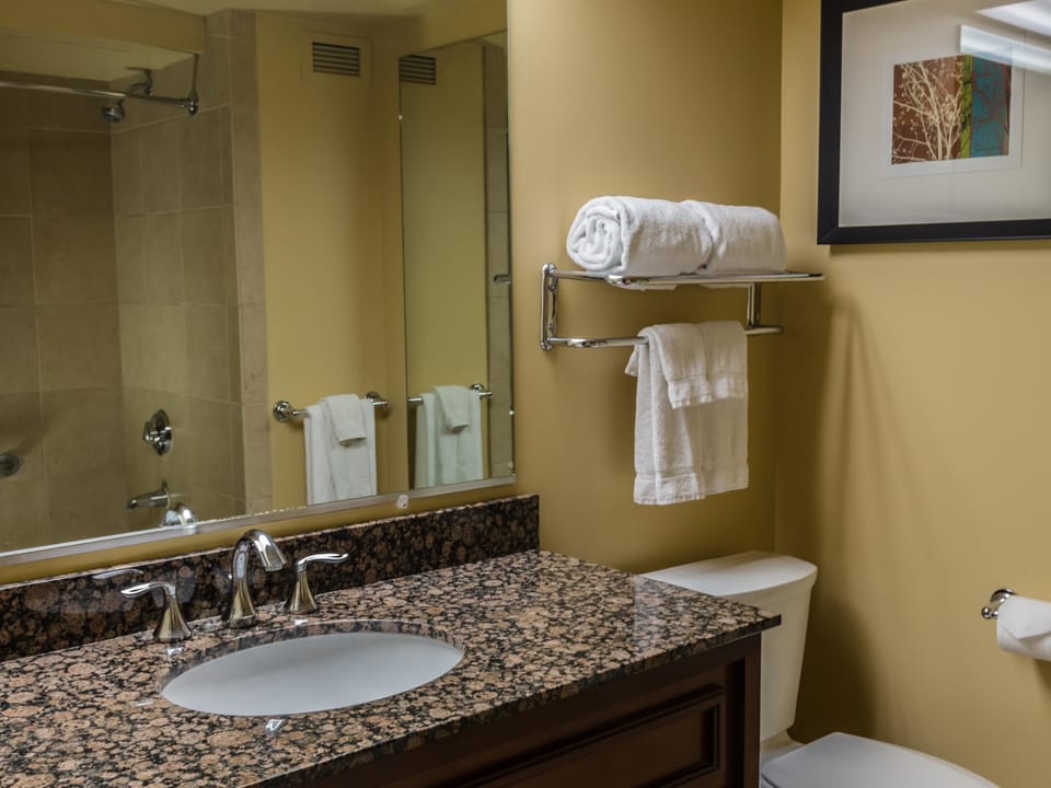 Combined shower/tub, eco-friendly toiletries, hair dryer, towels