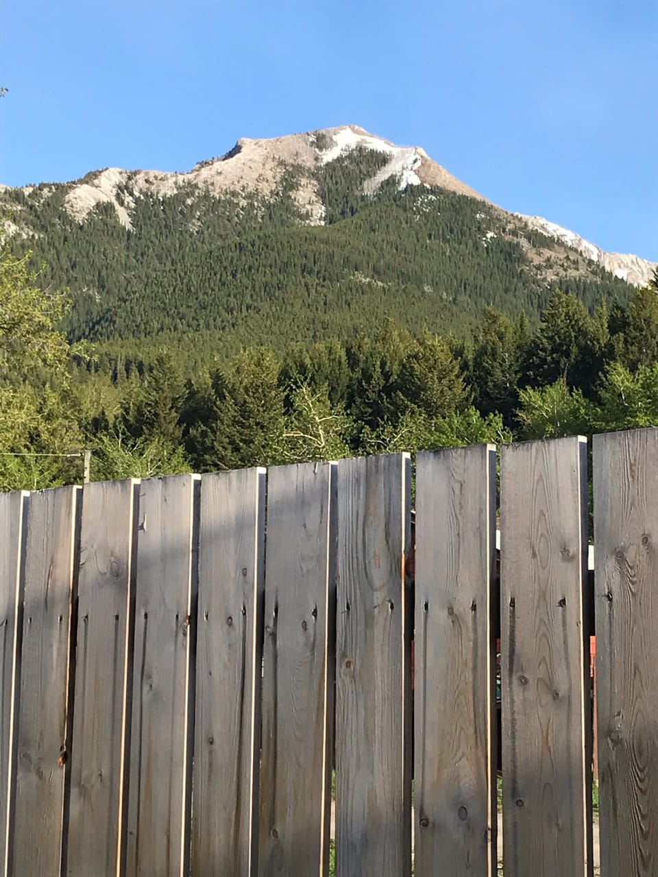 backyard view - turtle mountain