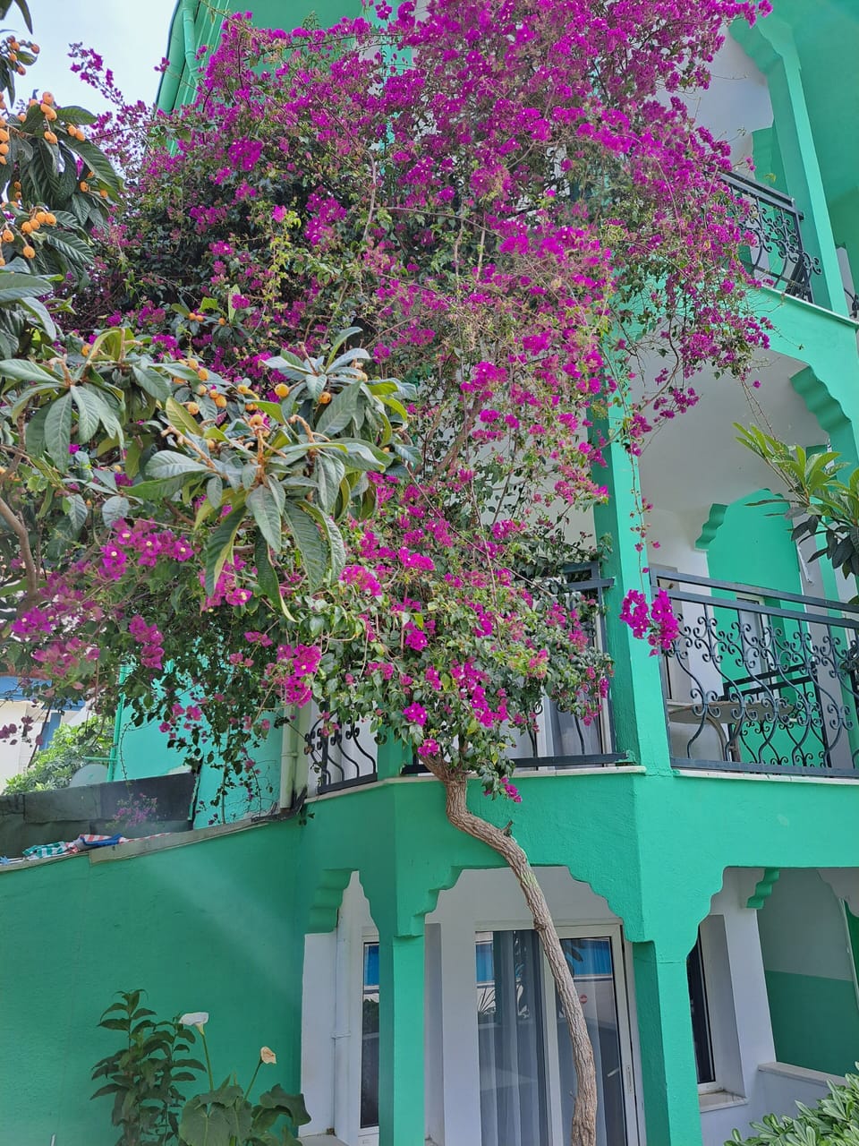 Front of property