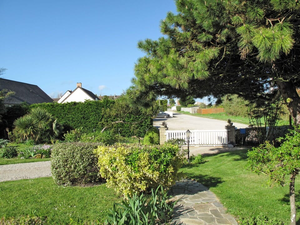 Plant, Sky, Tree, Natural Landscape, Shade, Grass, Land Lot, Building, Cottage, Residential Area