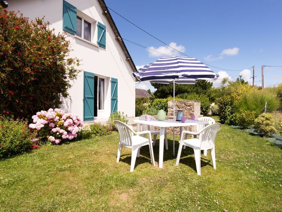 Plant, Flower, Sky, Furniture, Property, Cloud, Window, Table, Building, Chair