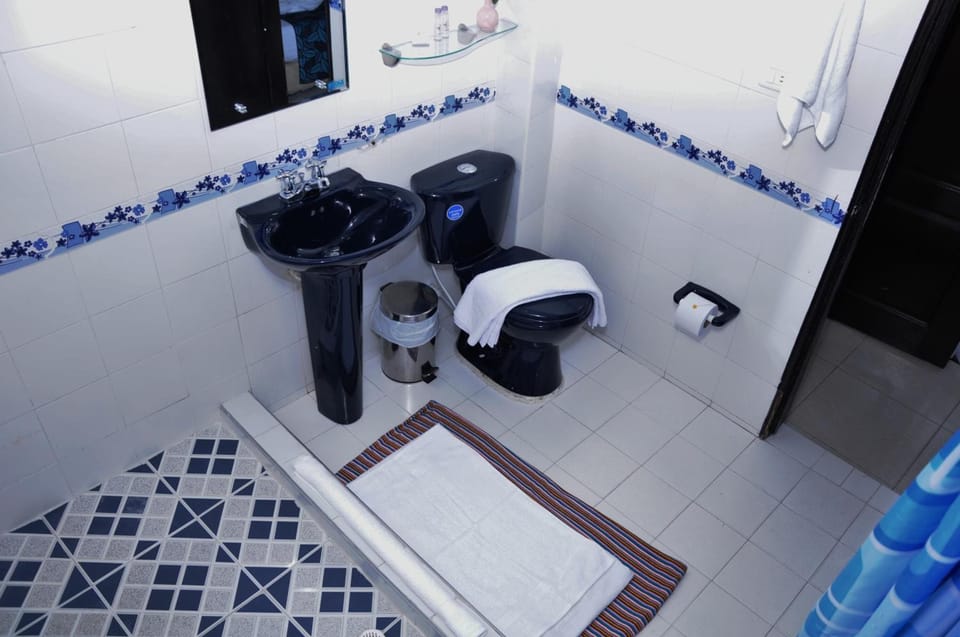 Rainfall showerhead, towels, soap, toilet paper