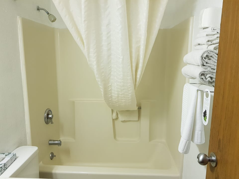 Combined shower/tub, free toiletries, hair dryer, towels
