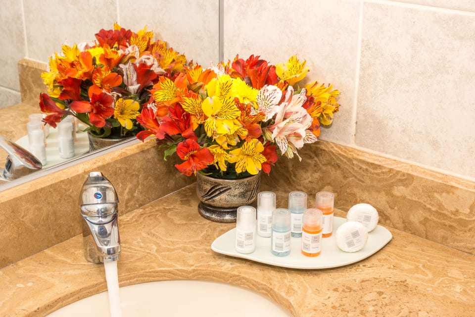 Combined shower/tub, free toiletries, hair dryer, towels