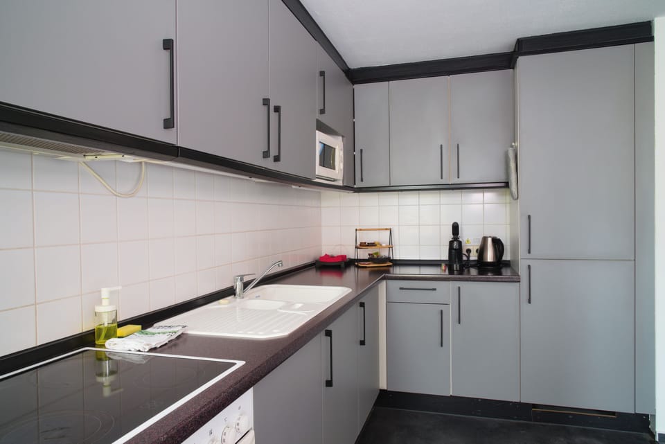 Apartment, 1 Bedroom, Kitchenette | Private kitchenette | Fridge, microwave, freezer, dining tables