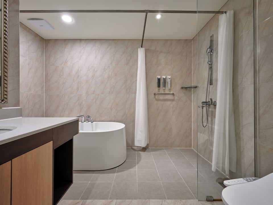 Shower, hair dryer, bathrobes, slippers