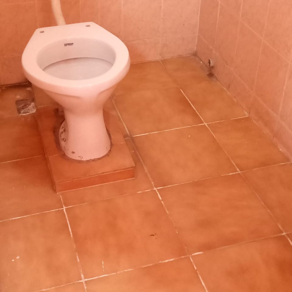Single Room | Bathroom | Shower, free toiletries, towels